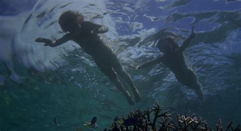 blue lagoon scene|The Blue Lagoon (1980)